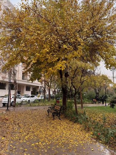 عکس بوستان یاس