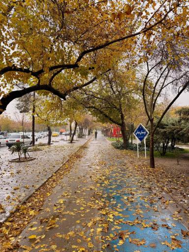 عکس بوستان یاس