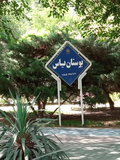 عکس بوستان یاس