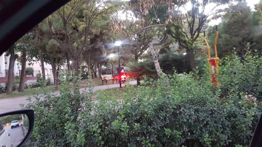 عکس بوستان یاس