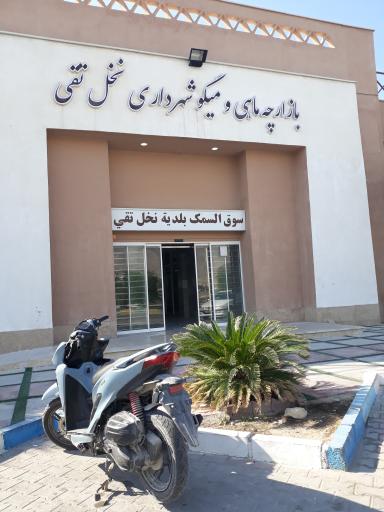 عکس بازارچه ماهی و میگو شهرداری نخل تقی