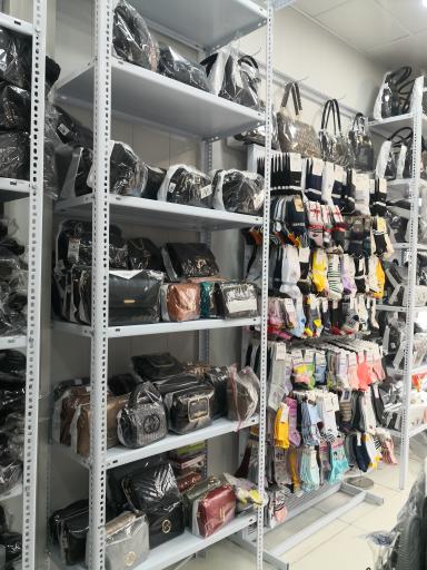 عکس کیف و کفش نیکتا دلفان 