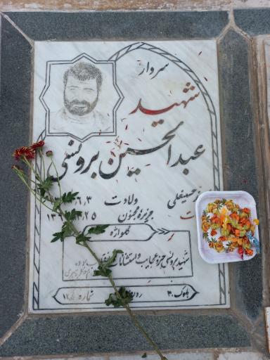 عکس آرامگاه شهید عبدالحسین برونسی