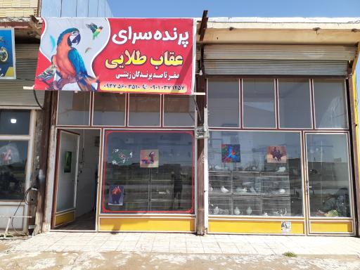 عکس پرنده‌سرای‌عقاب‌طلایی