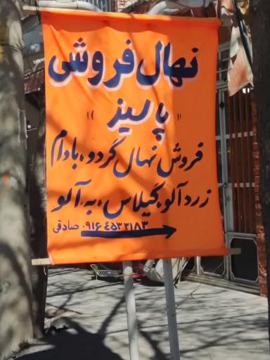 عکس نهال فروشی پالیز