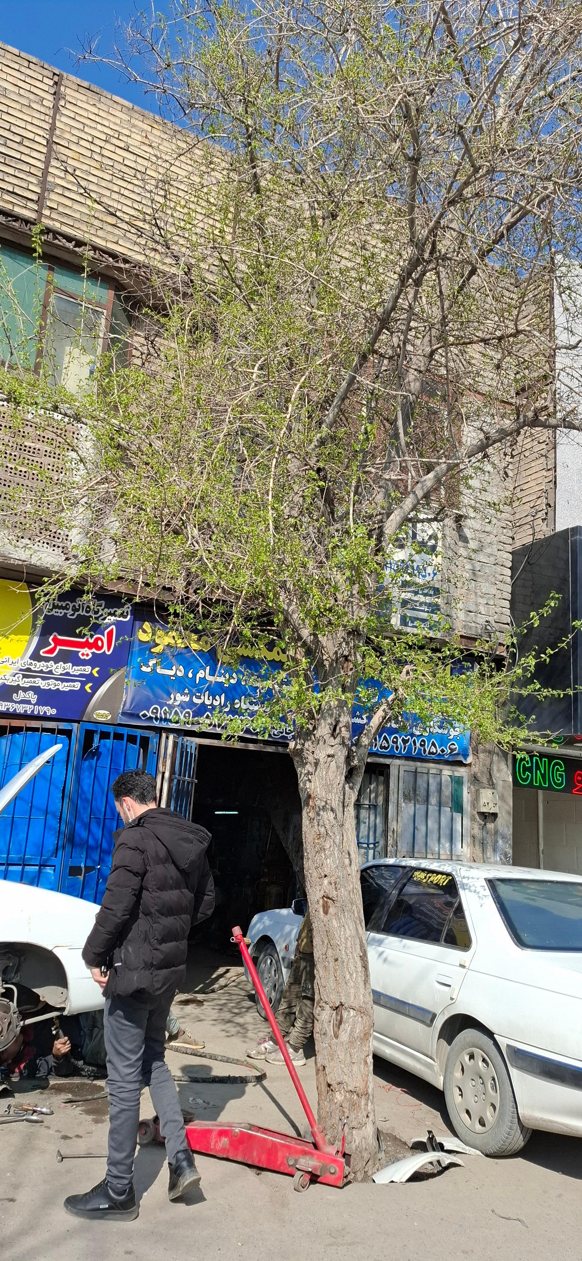 عکس برق خودرو محمود کوهجانی
