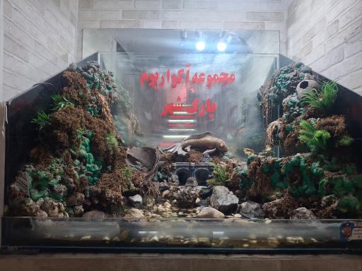 آکواریوم پارک شهر