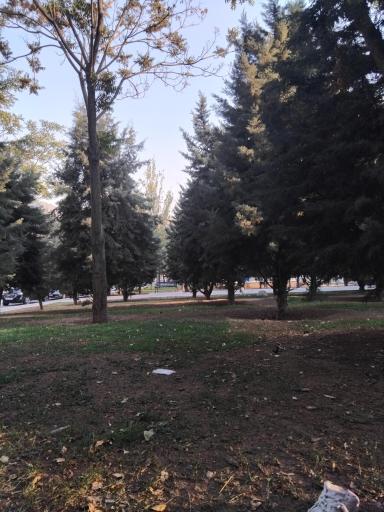 عکس بوستان بعثت