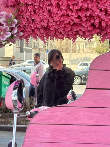 عکس ساندویچ سرد صورتی