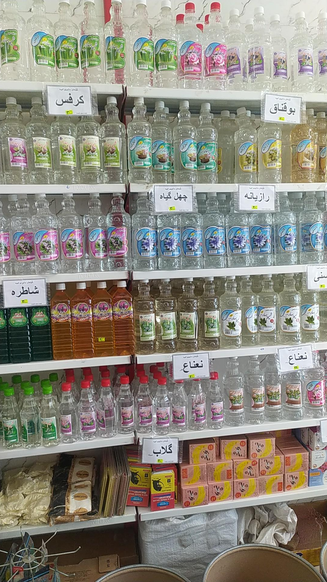 عکس عطاری امید