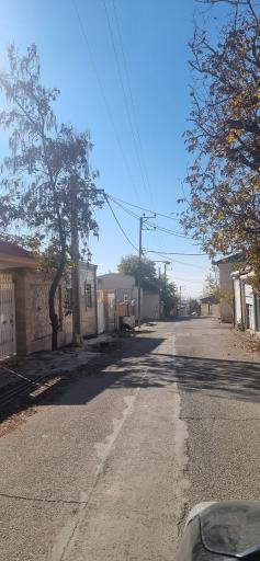 عکس شلمزار