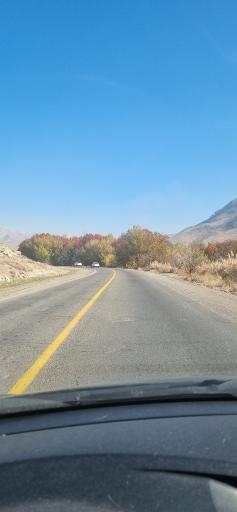 عکس شلمزار