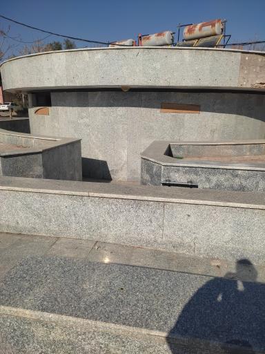 سرویس بهداشتی