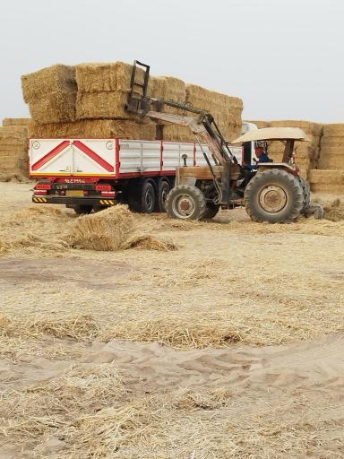 عکس شهرک صنعتی قلعه‌میر