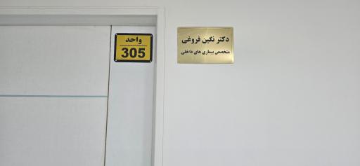 عکس دکتر نگین فروغی