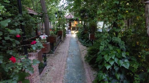 عکس باغ رستوران داچی