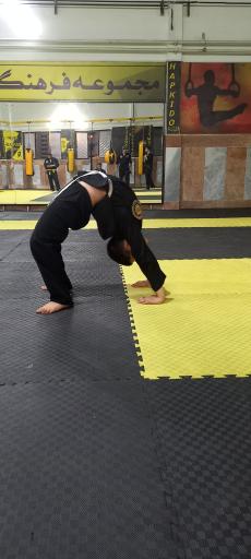 عکس باشگاه دفاع شخصی