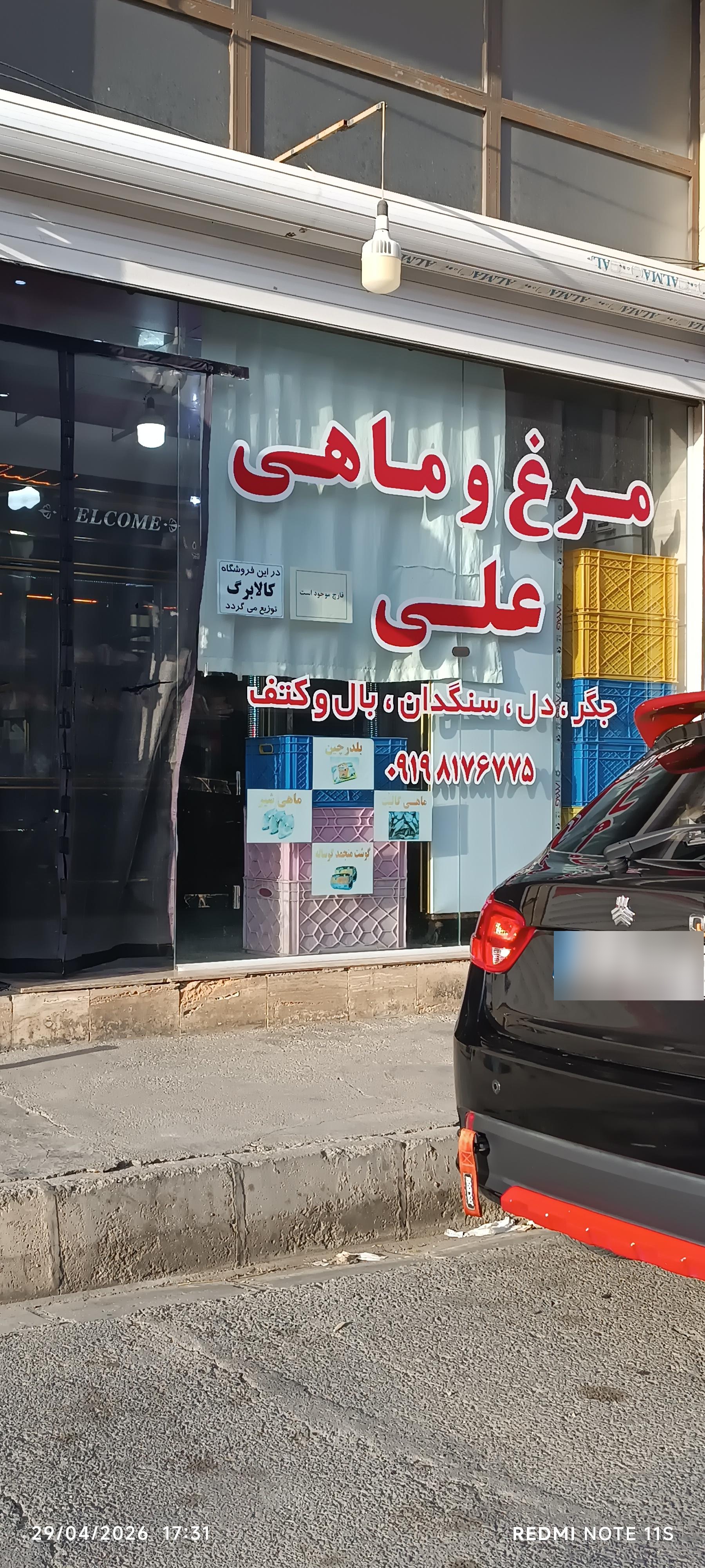 عکس مرغ  و ماهی علی