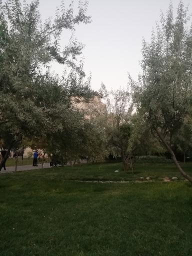 عکس پارک اتحاد (طاها)