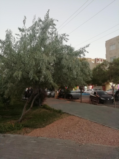 عکس پارک اتحاد (طاها)