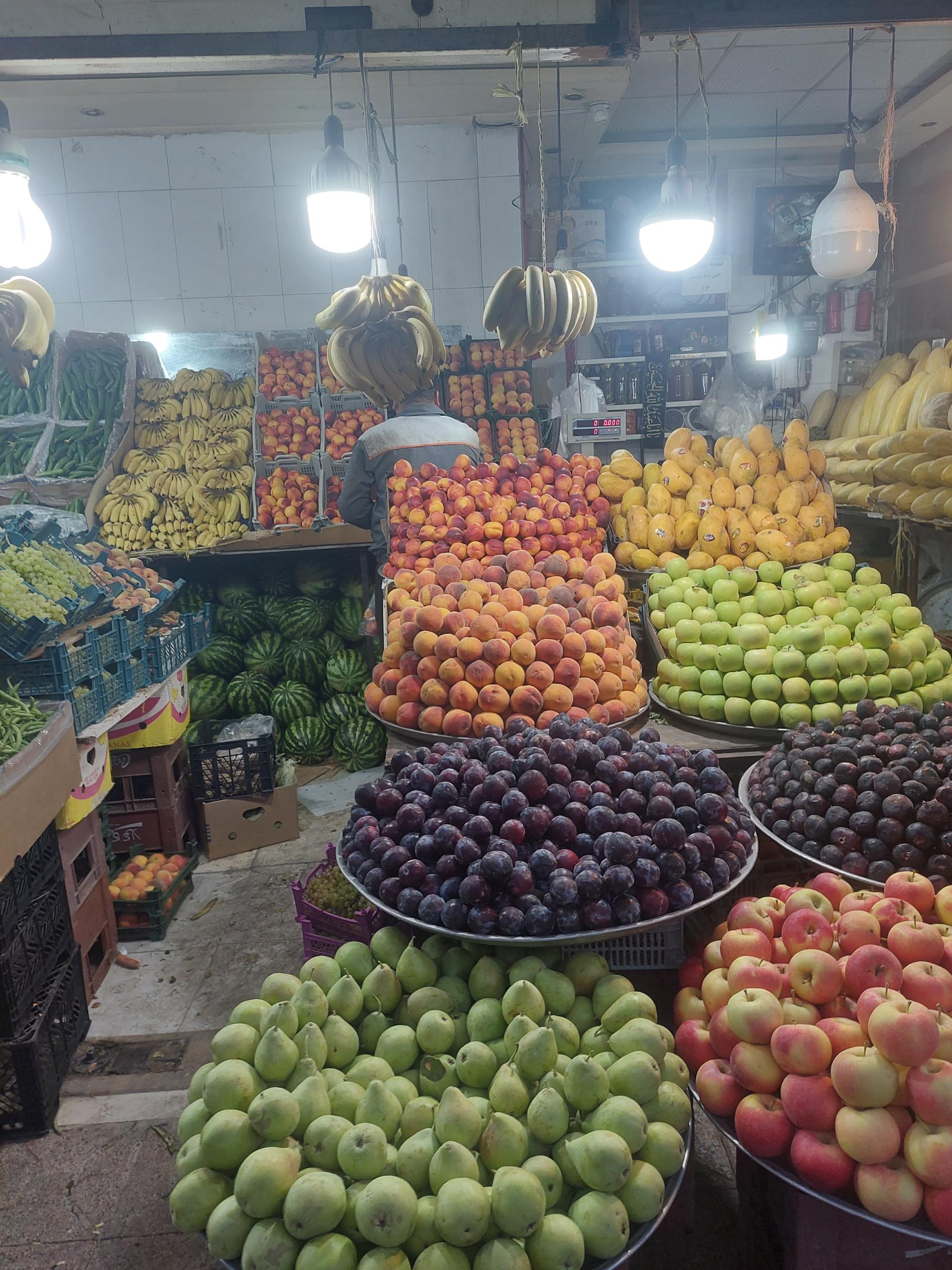 عکس میوه سرای امید