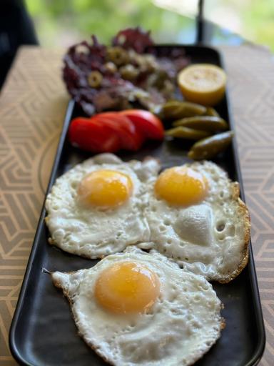 کافه اسکان البرز