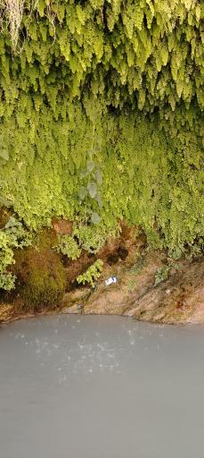 عکس آبشار بی بی سیدان