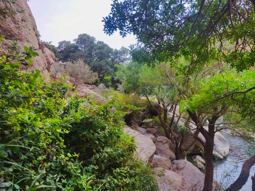 عکس آبشار بی بی سیدان