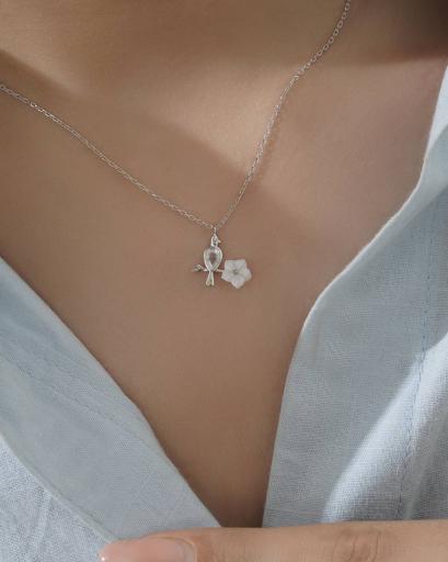 عکس گالری نقره قدوسی