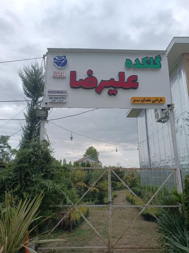 عکس گلکده علیرضا