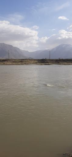 عکس گروران چهار دانگه