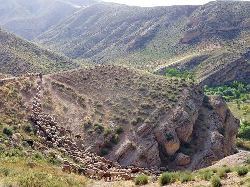 عکس دره قلجق