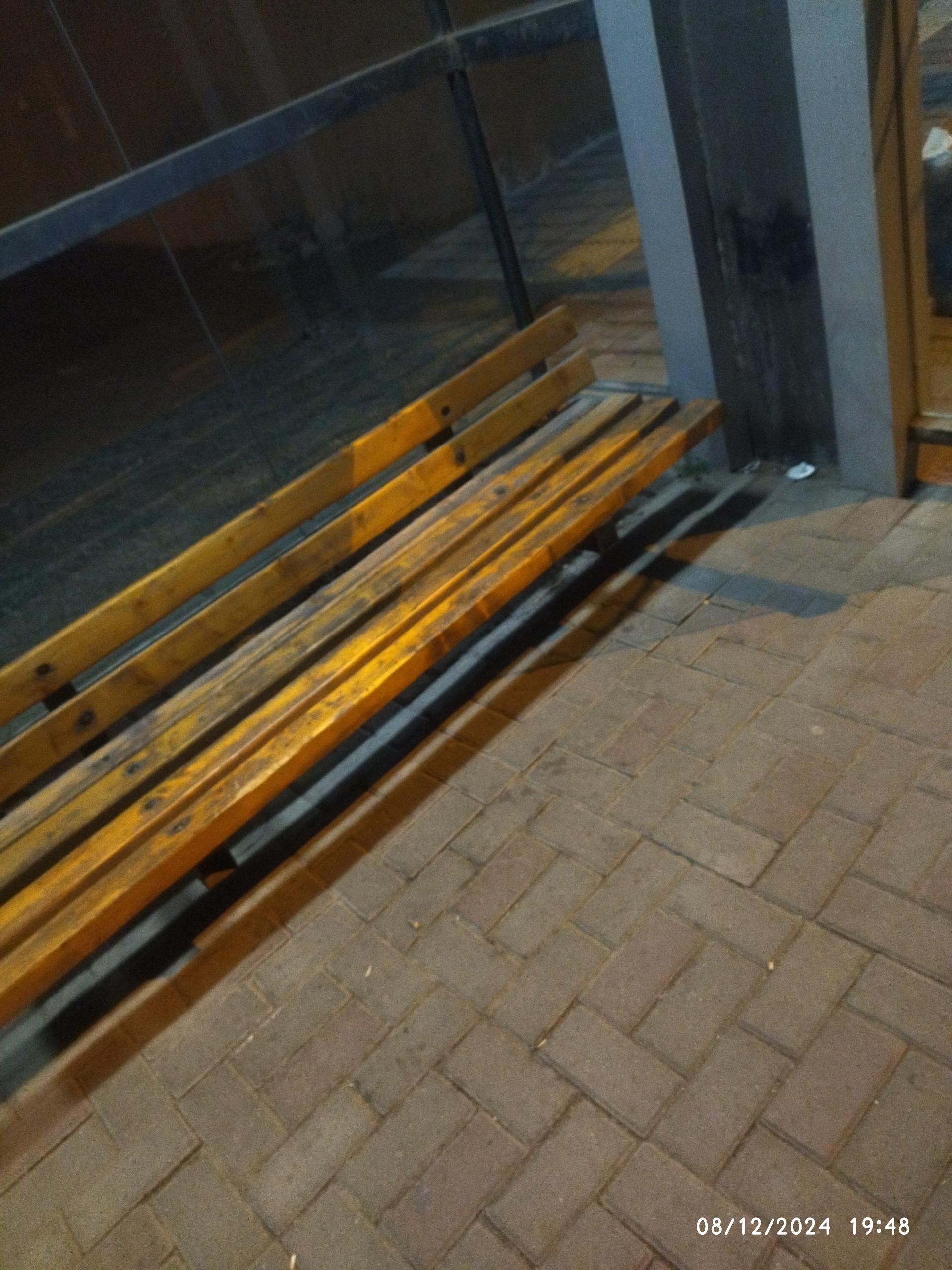 عکس  سجادیه 25