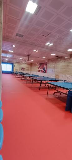 عکس باشگاه تنیس روی میز اسمش