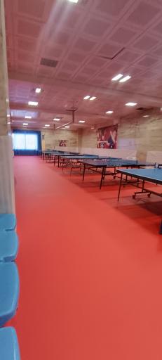 عکس باشگاه تنیس روی میز اسمش