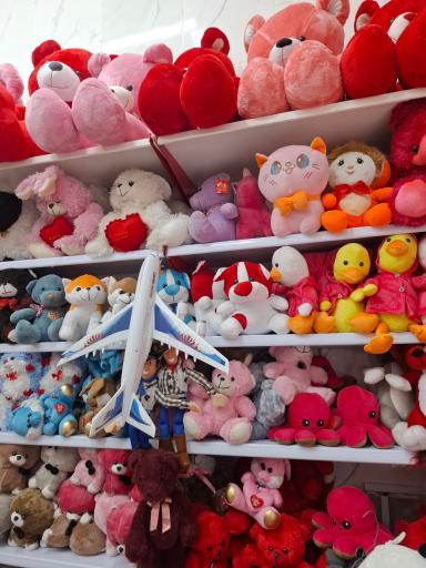 عکس اسباب بازی فروشی سالار