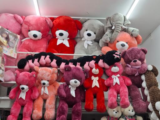 عکس اسباب بازی فروشی سالار