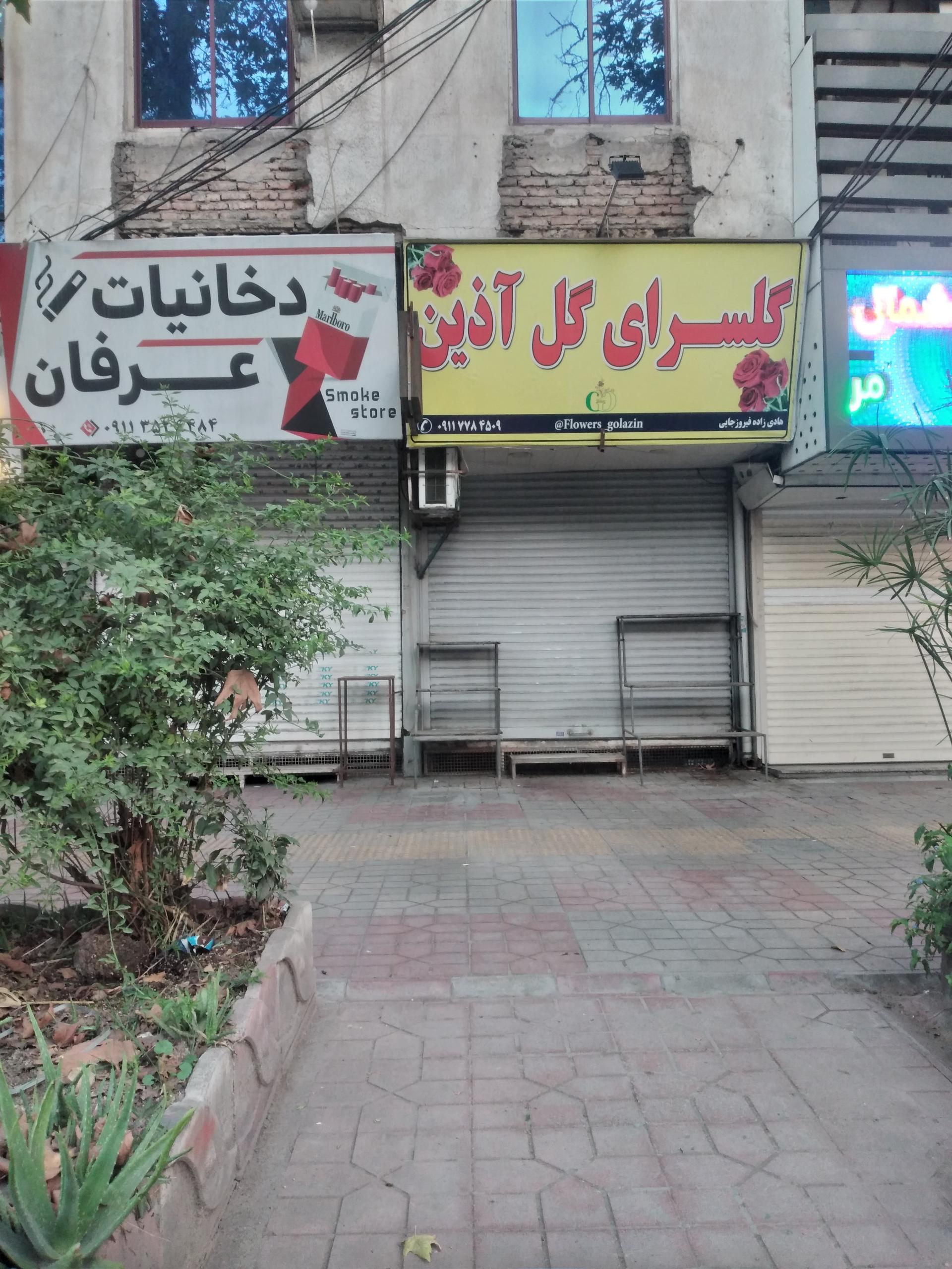 عکس گل فروشی آدین