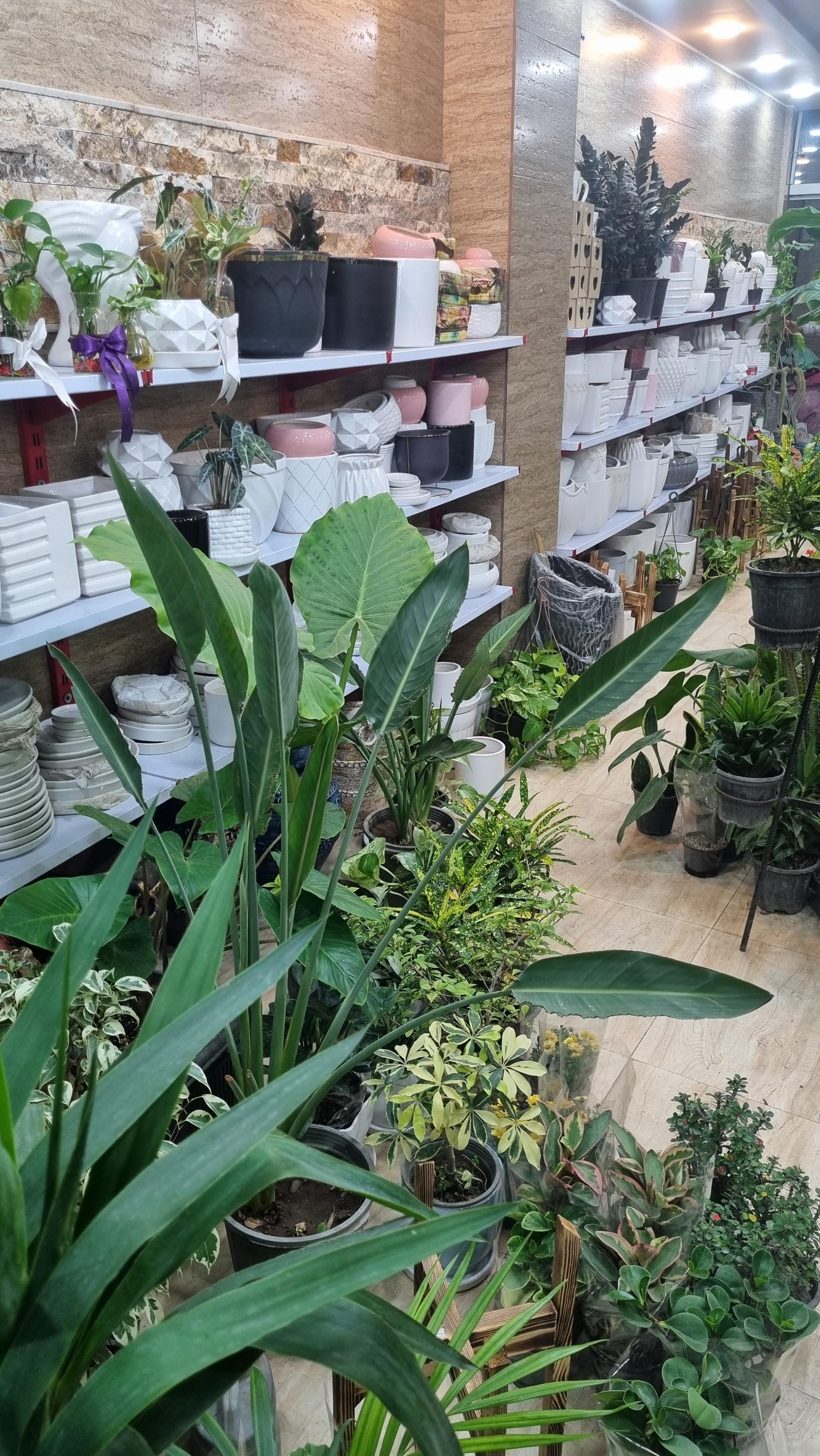 عکس گلکده پائیزان