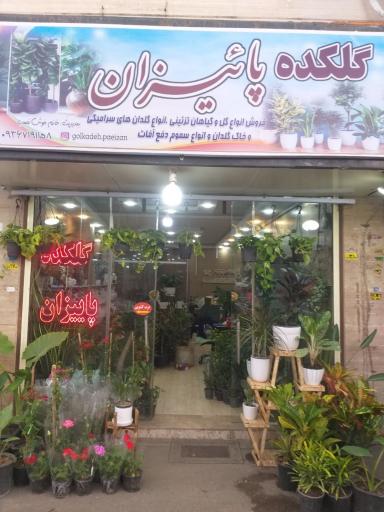 عکس گلکده پائیزان