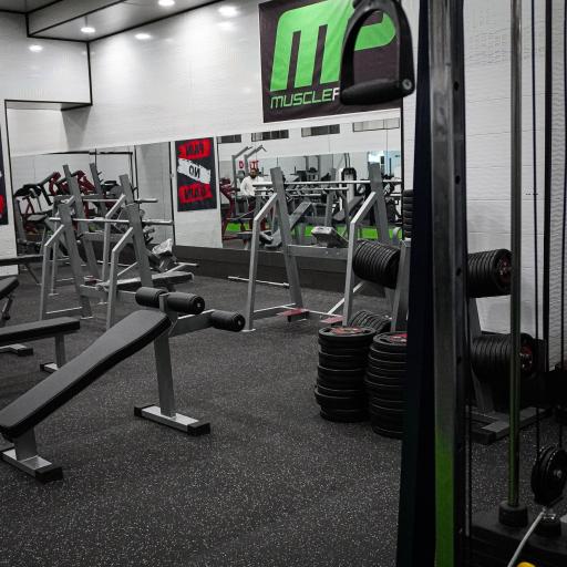 عکس باشگاه بدنسازی و تناسب اندام پیک