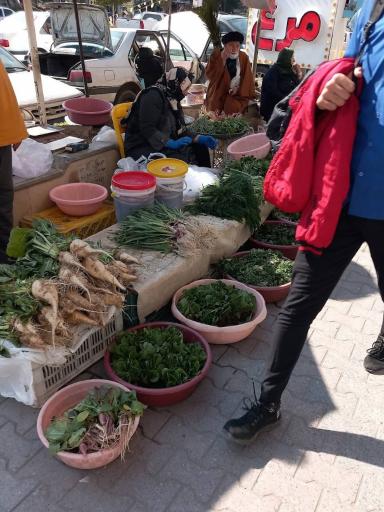 عکس بازار ماهی فروشان نور