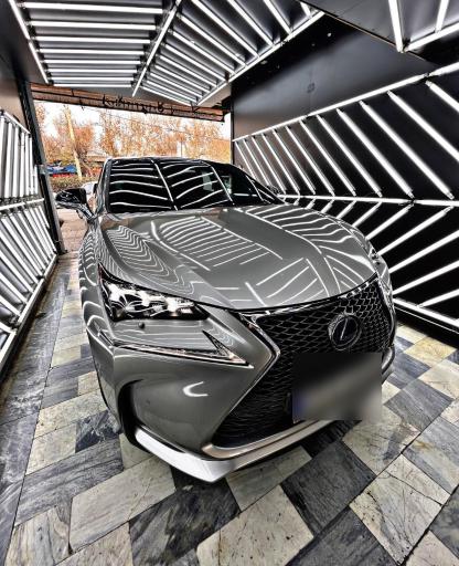 عکس کارشناسی تشخیص رنگ خودرو فروتن