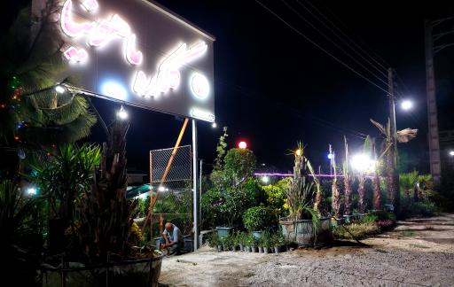 عکس گلکده‌ ماهونیا