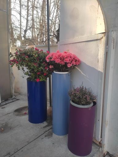 عکس گل فروشی بیلبار