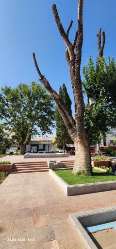 عکس میدان آزادی - سبزه میدان