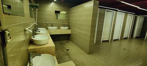 عکس سرویس بهداشتی پل طبیعت