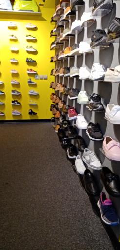 عکس کفش زرتاب