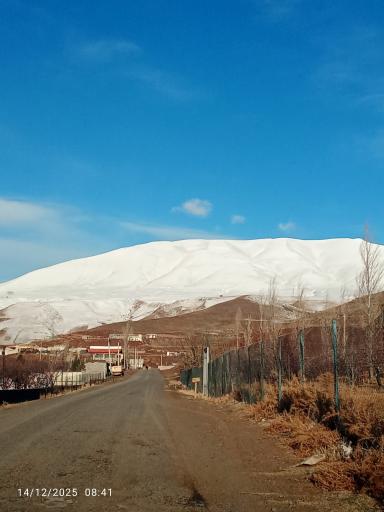 عکس کویج