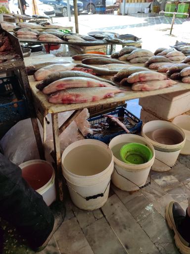 عکس بازار ماهی فروشان نور